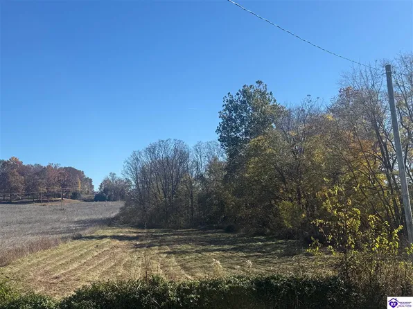LOT 4 Highway 60, Guston, KY 40142