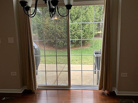 Year round greenery/privacy