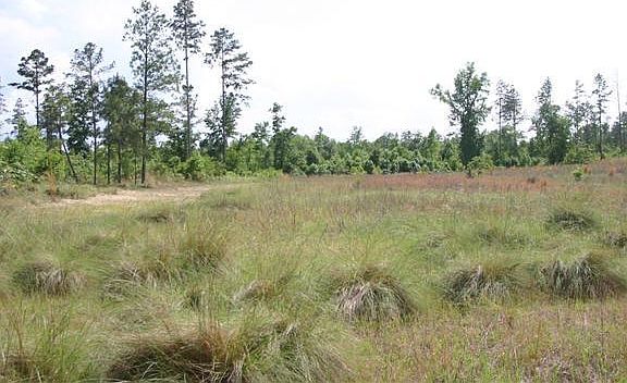 4th image of TBD Mcintosh Road LOT Tract 11