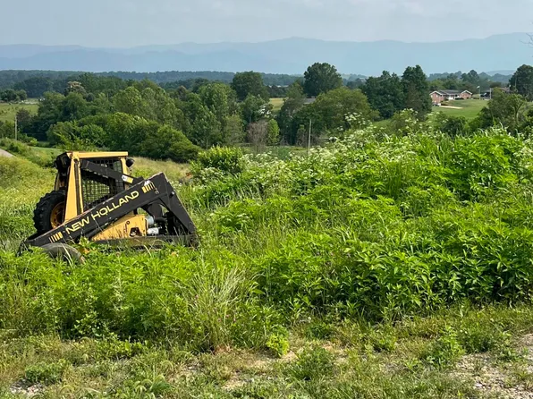 Gib Broyles Rd, Limestone, TN 37681