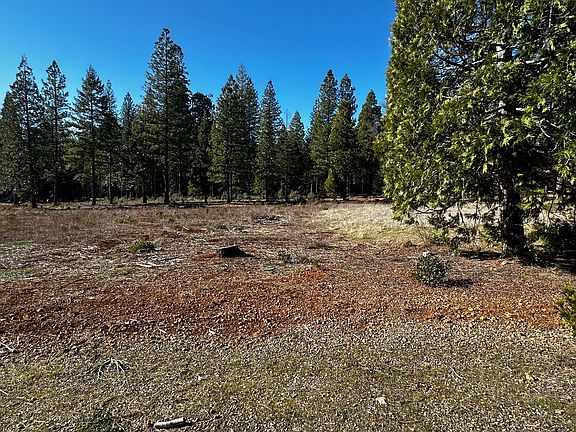 4th image of LOT 27 Princess Pine Pl