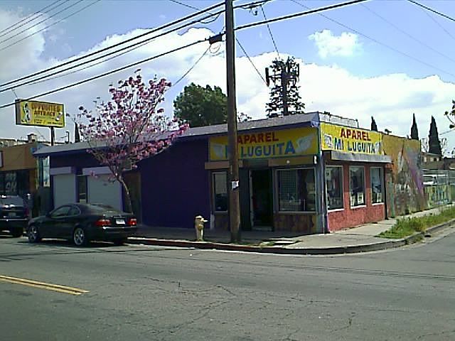 Front View 