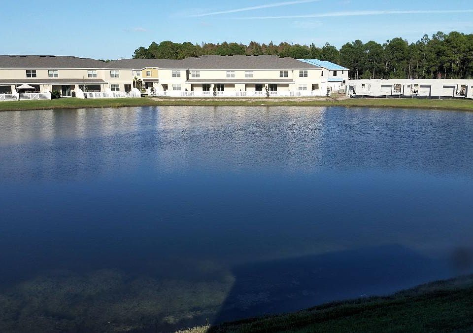 Lake view