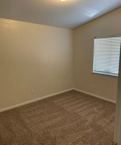 10104 Brookline Woods Dr — Photo 16
