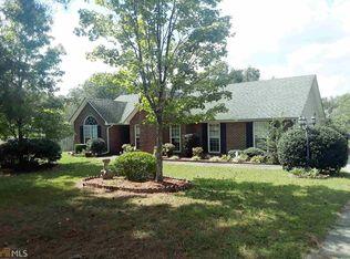 13885 Panhandle Ln, Hampton, GA 30228