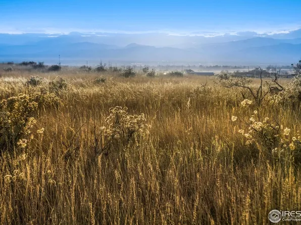 7895 County Road 84, Fort Collins, CO 80524