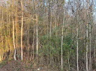 2 Mann Rd, Shiloh, GA 31826