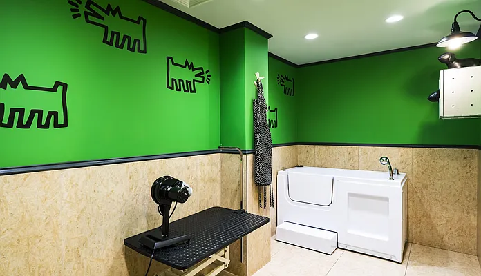 Rented by Halcyon Management Group LLC | media 29