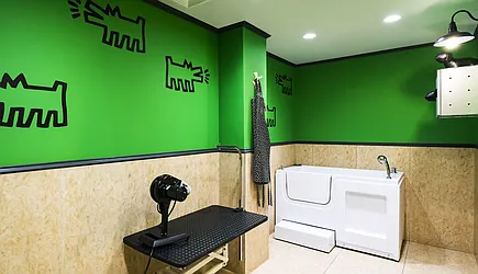 Rented by Halcyon Management Group LLC