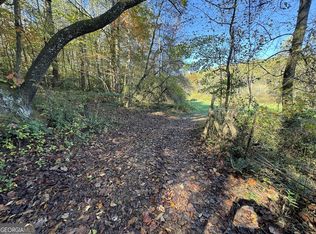 0 Saffron Ln, Blue Ridge, GA 30513