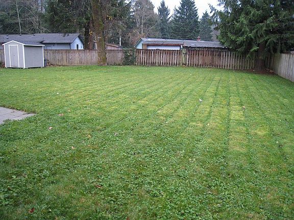 Big Backyard
