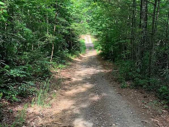 64 Riverview Rd #64, Millers Creek, NC 28651