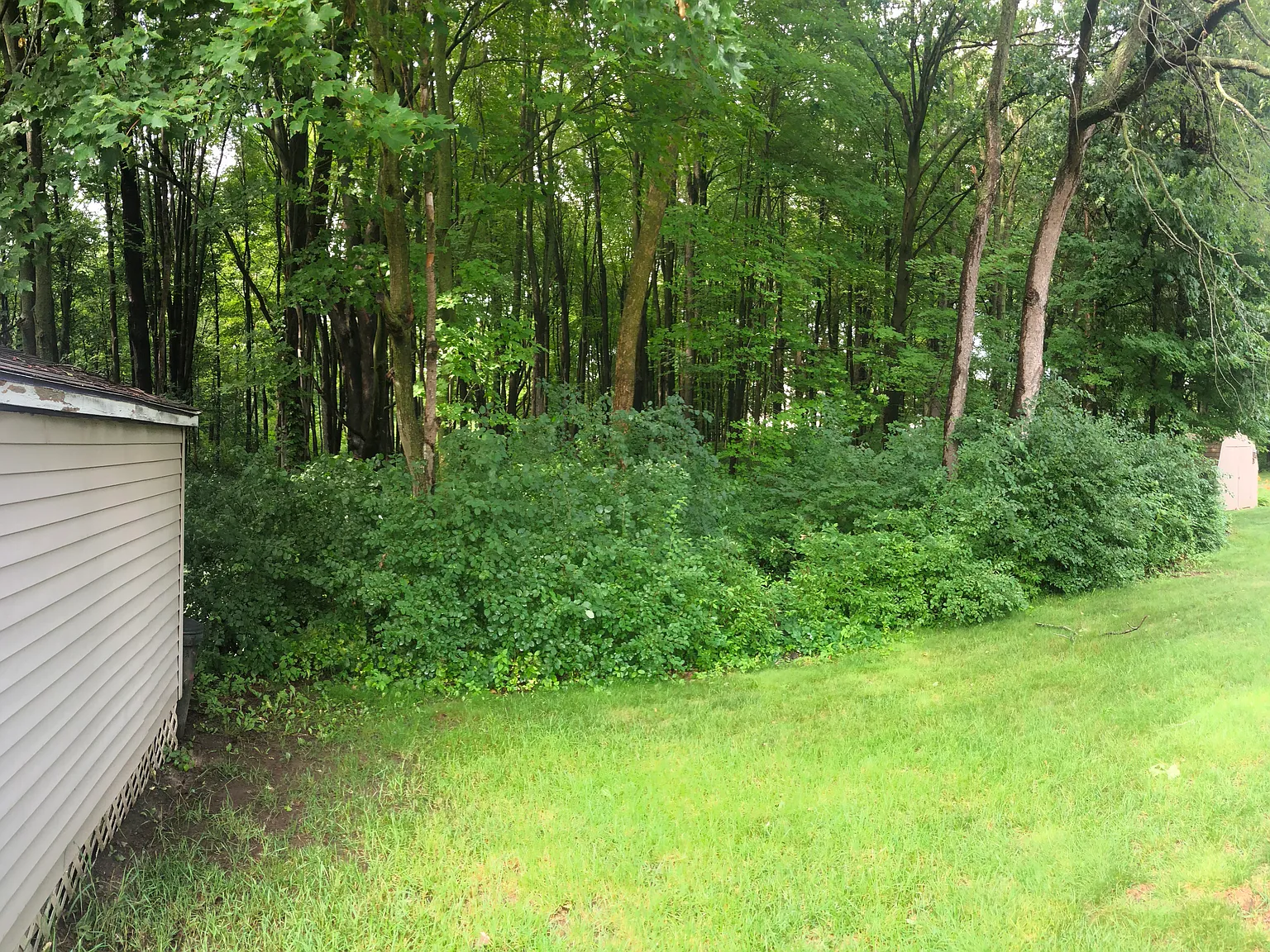 3 bed, 1344 sqft, $1,599 — Photo 4