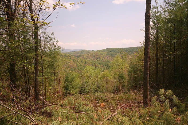 view from road on this prope