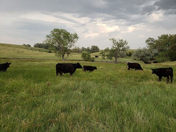 4th image of 17806 County Road 9