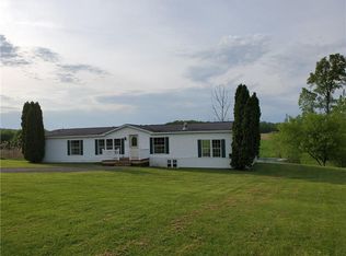 3125 Craig Rd, Piffard, NY 14533