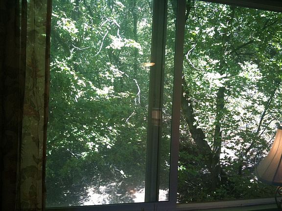 livingroom window