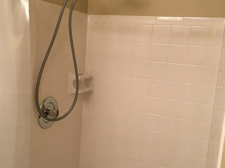 Bedroom bath shower