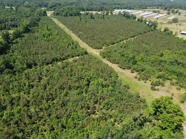 2 County Road 295, Garrison, TX 75946