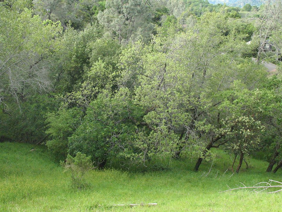 1st image of Lot 147 On Sunny Hill Ln #147