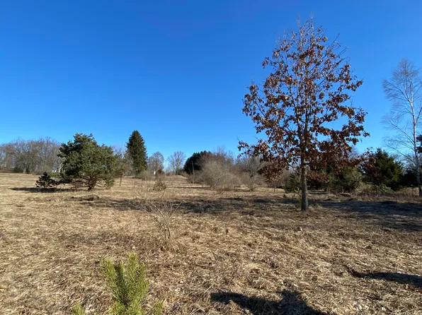 E Pine St, Edmore, MI 48829