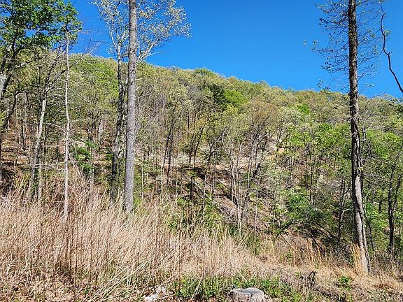 4th image of 0 Grandpa Jones Rd