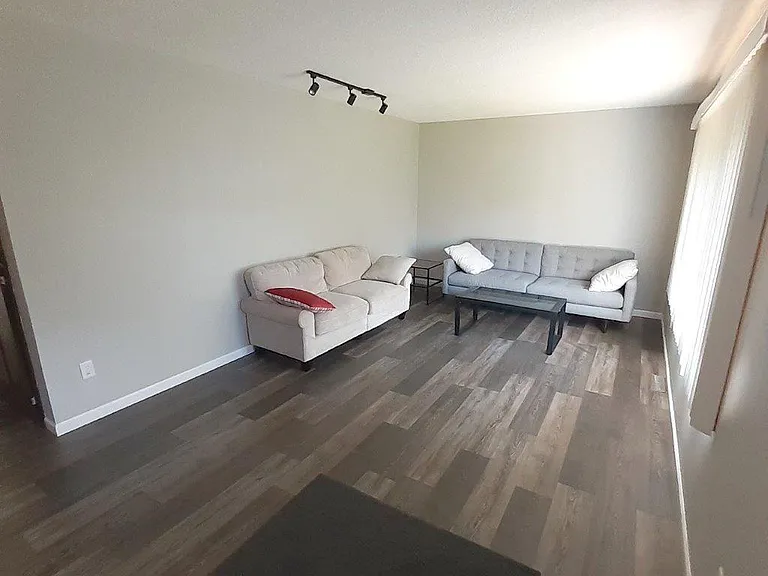 Living room (main level)