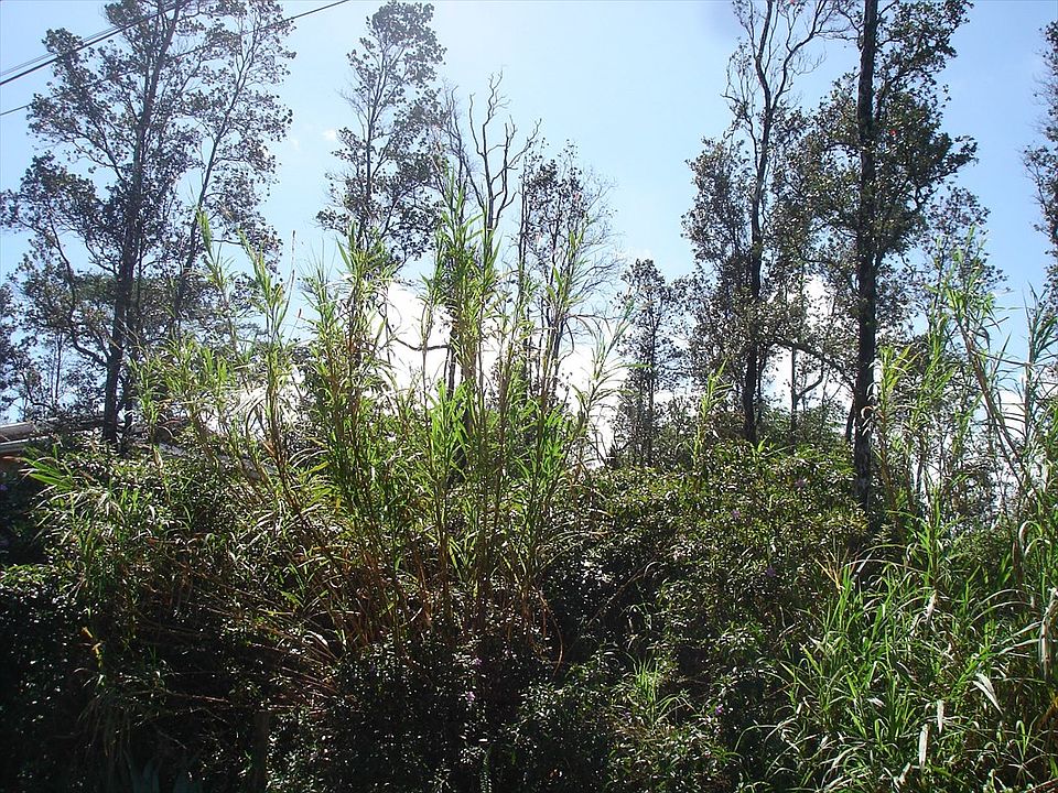 1st image of King Kamehameha Blvd Lot 78