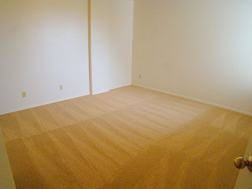 5th image of 8315 5th Ave NE APT 404