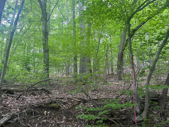 Ridgeview Heights Rd, Tioga, WV 26691