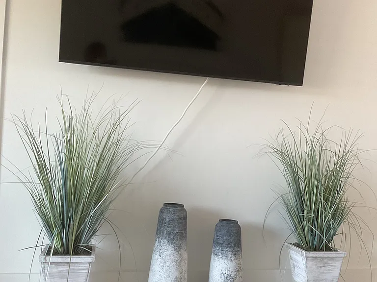 65 inch TV in living room.