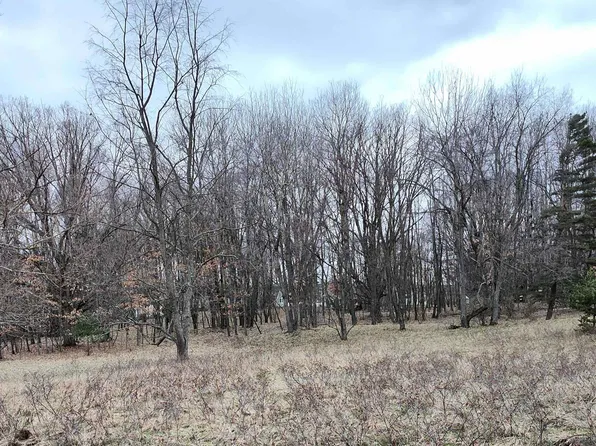 1040 Bundy Dr Lot 372, Weidman, MI 48893