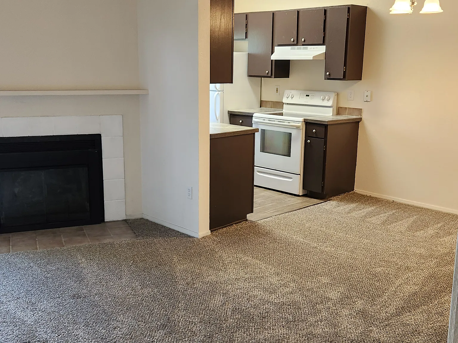 2 bed, 800 sqft, $1,350 — Photo 3
