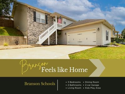 165 Blossom Valley, Branson, MO, 65616