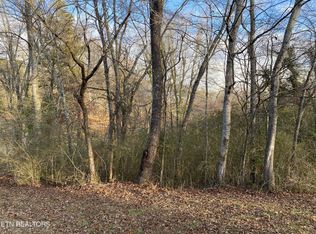 2.54 Cates Rd, Rockwood, TN 37854