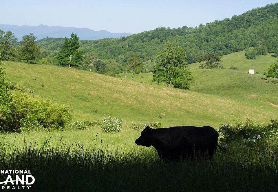 Fenced Pastures
