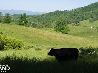 435 N Turkey Creek Rd, Leicester, NC 28748