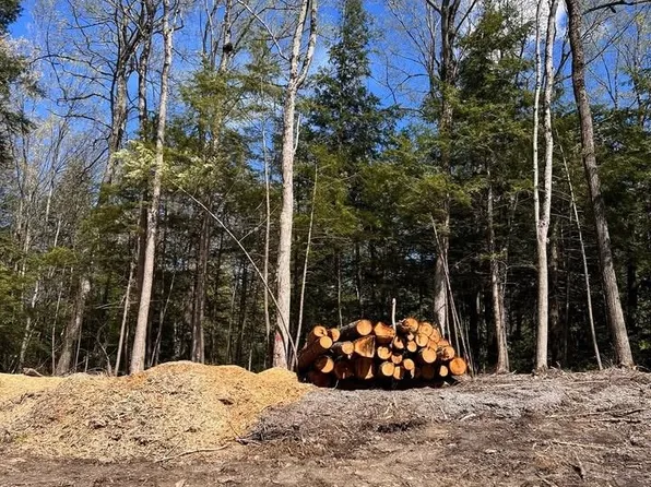 10 Syer Line, Cavan Monaghan, ON K0L 1V0