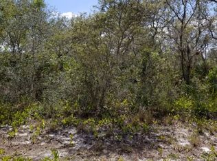 245 Caspian Tern Ave, Sebring, FL 33870