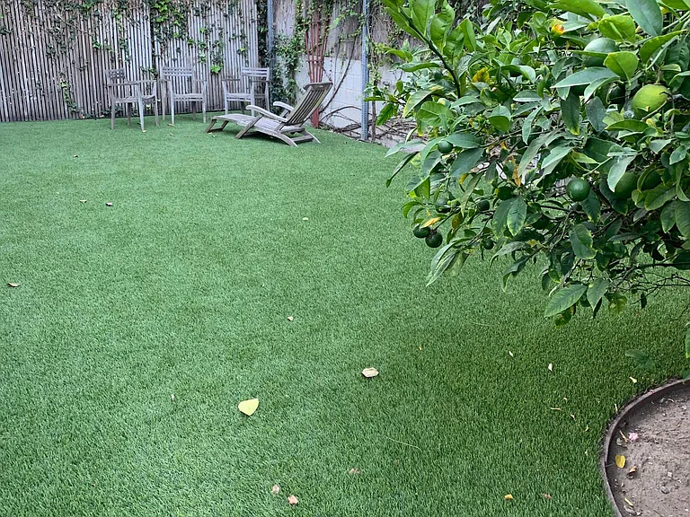 Another section of backyard w/ fruit trees