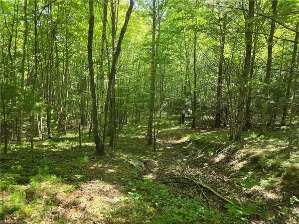 50 Deer Spring Ln, West Jefferson, NC 28694