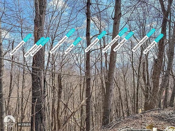 5th image of Chipmunk Cir