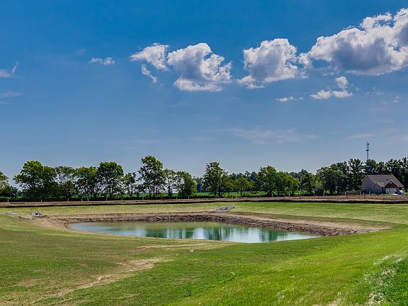 Pond view from backyard.