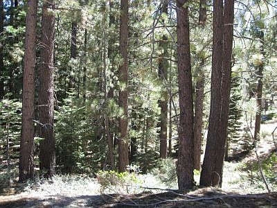 2nd image of 1840 Grizzly Mountain Dr