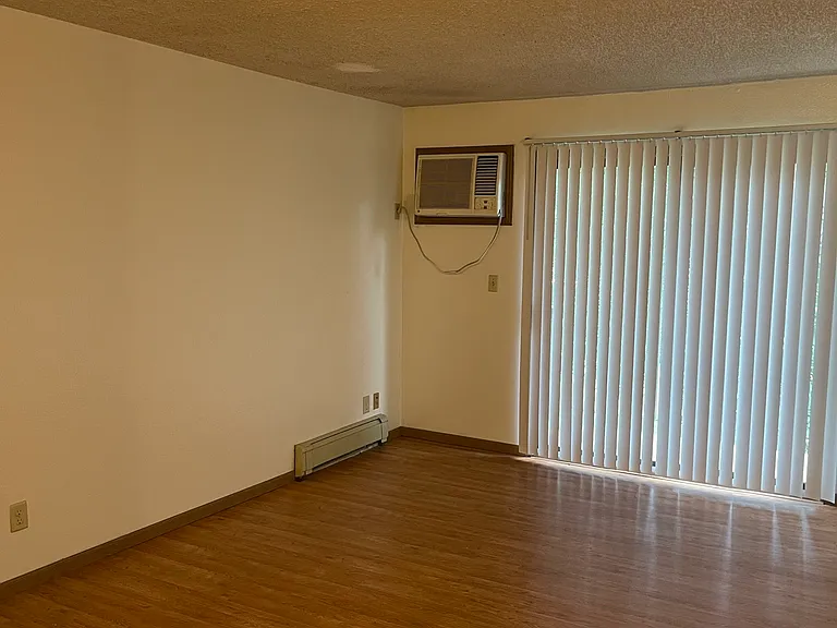 12 E Court St #501 — Photo 4