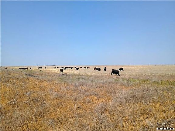 2nd image of County Road M