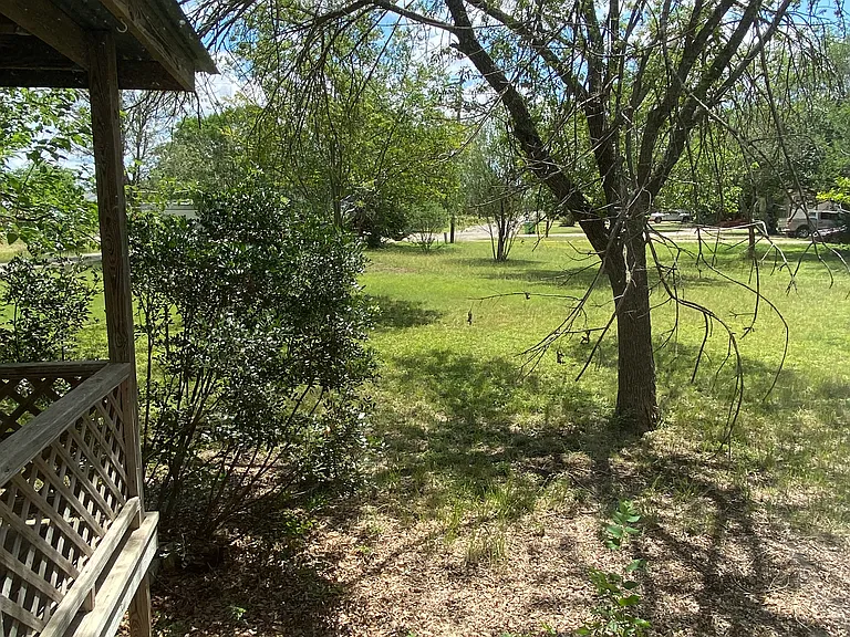 View out living room windows into the front yard