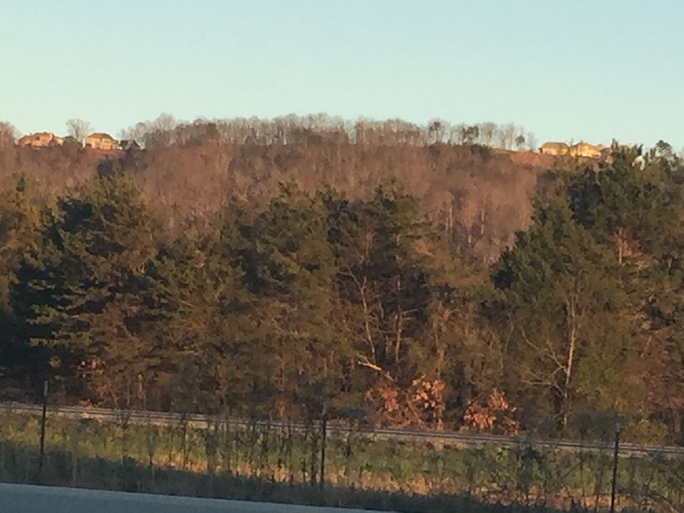 1st image of 8855 Balata Dr