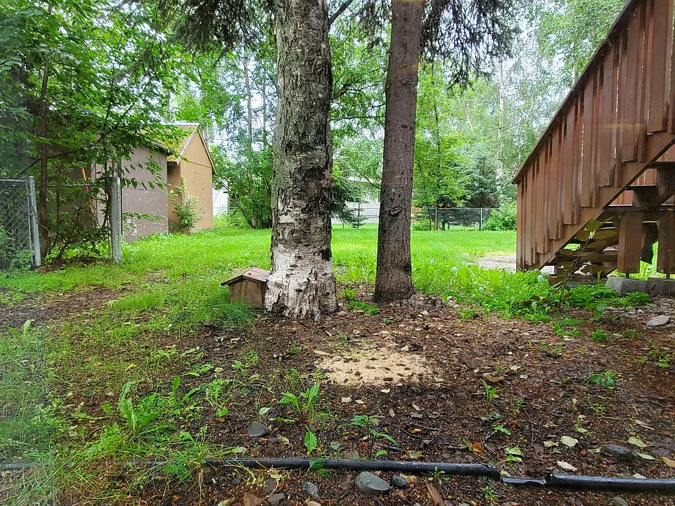 View from side gate of backyard, fully fenced