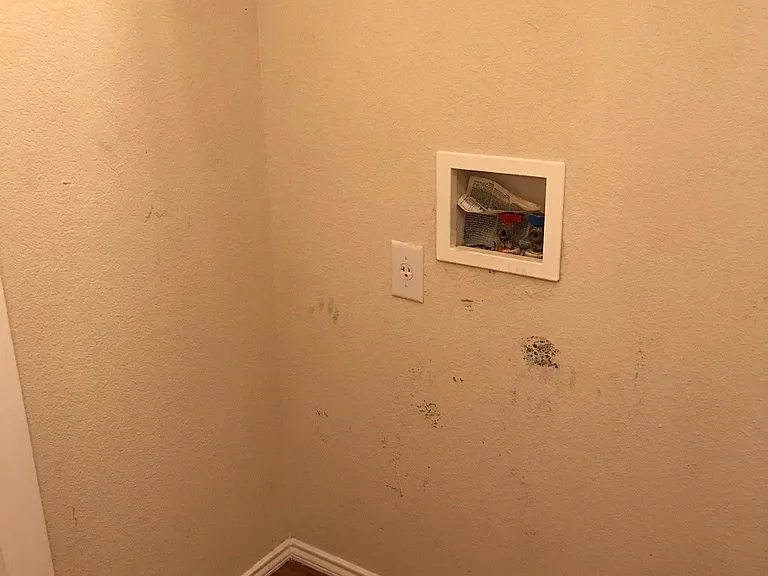 1512 Pine Ln — Photo 13